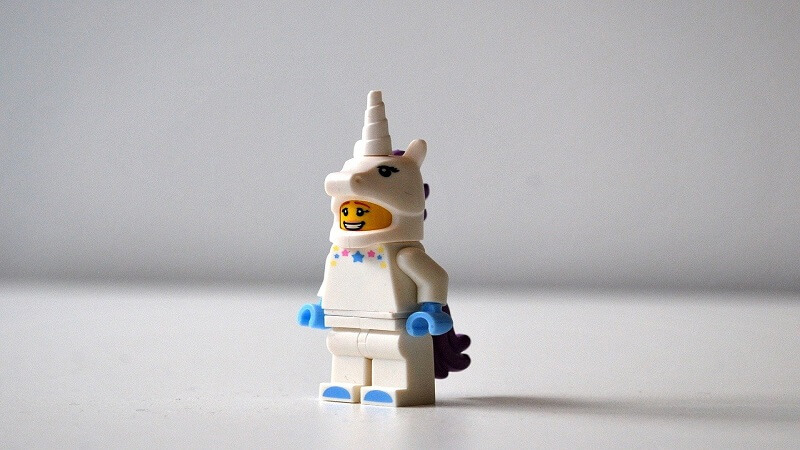 unicorn costume