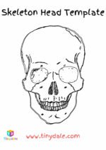Skeleton Craft With q Tips - Free Printable (2023 Updated)