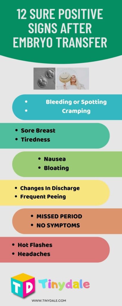 12 Sure Positive Signs After Embryo Transfer Infographic