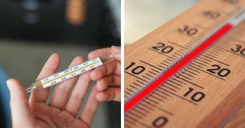 how to clean a thermometer