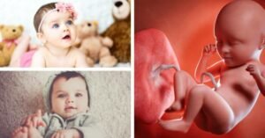 Posterior Placenta Means Boy Or Girl?
