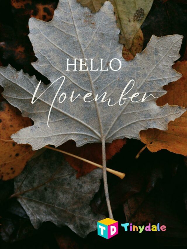 Hello November