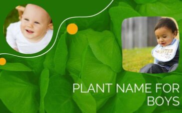 plant name for boys