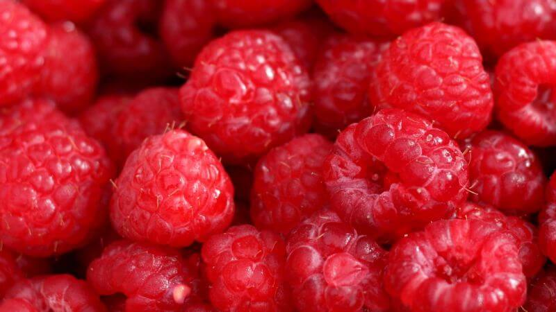 Red raspberries