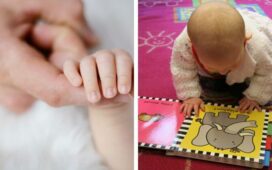 Baby sign language book