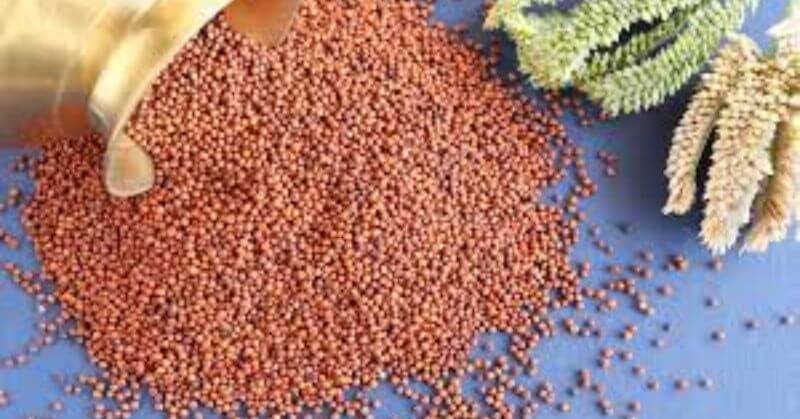 Ragi finger millet