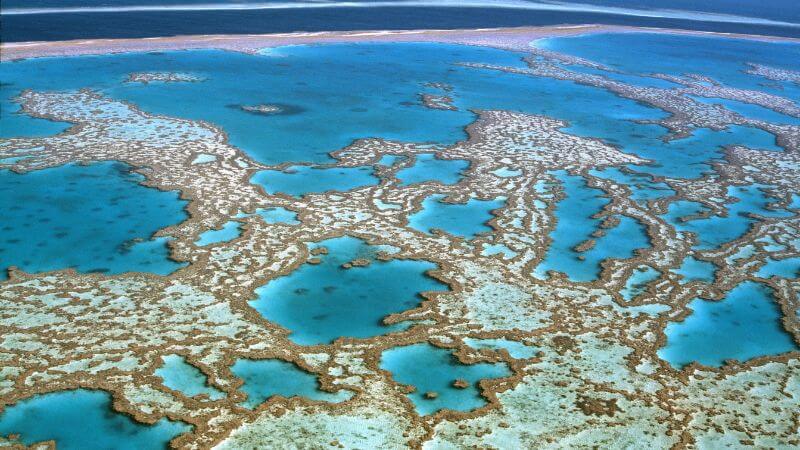 Barrier reef