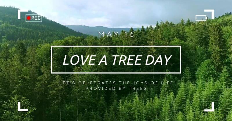 Love a tree day