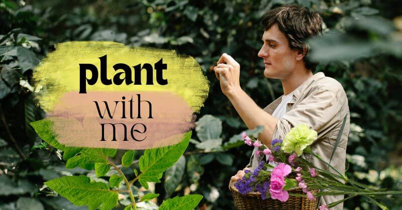 Plant with me