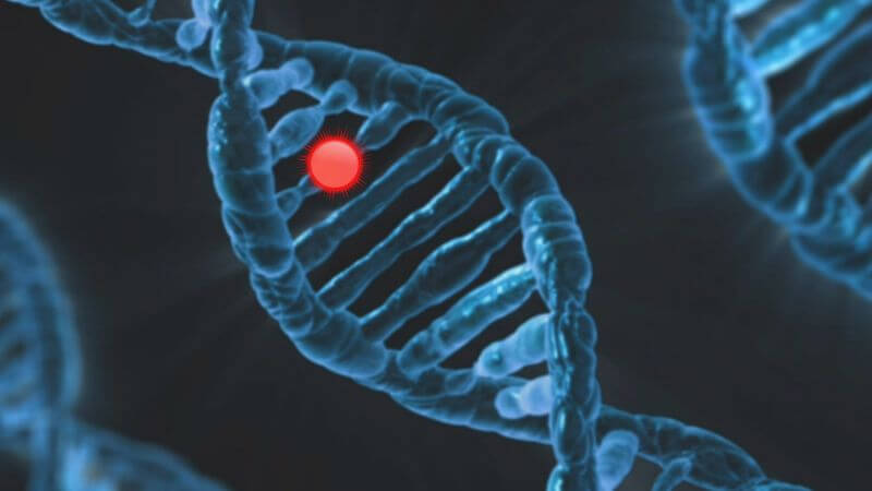 Genetics