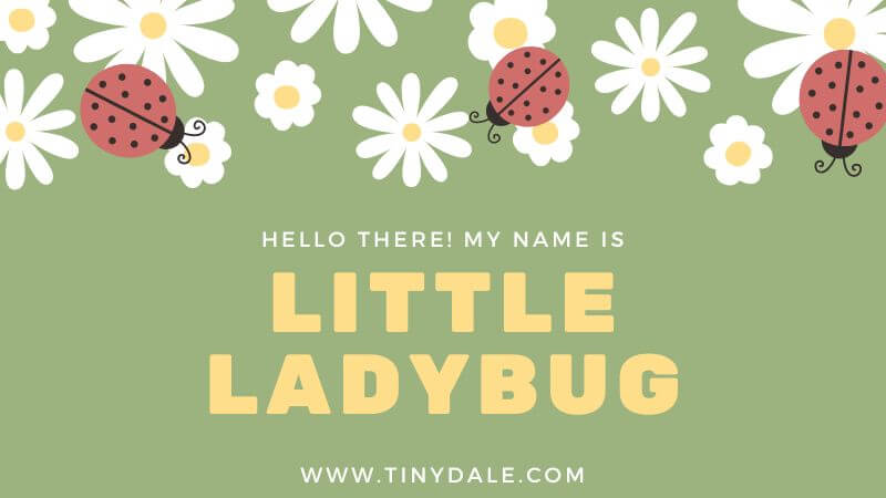 Cute Ladybug Quotes list