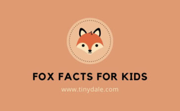 Fox facts for kids