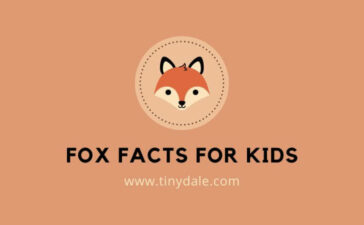 Fox facts for kids