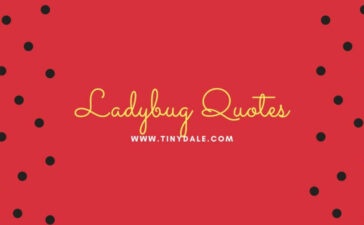 Ladybug quotes