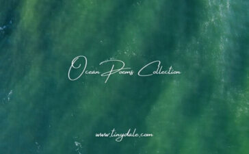 Ocean Poems Collection