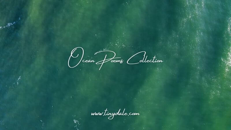 Ocean Poems Collection