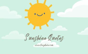 Sunshine quotes