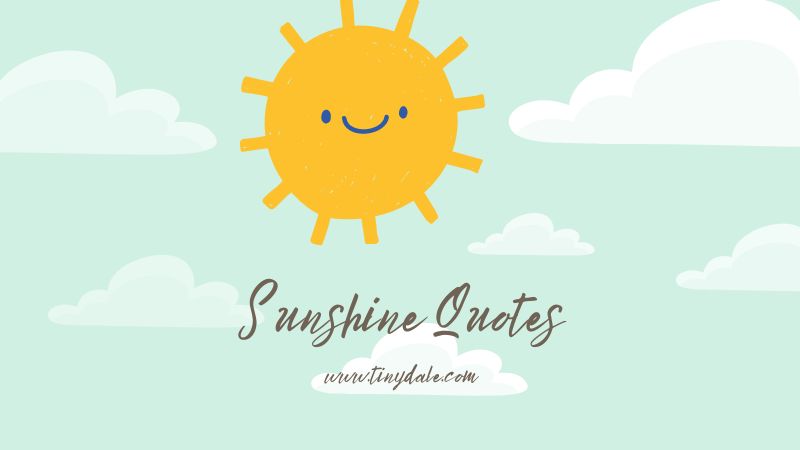 Sunshine quotes