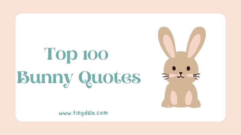 100 bunny quotes