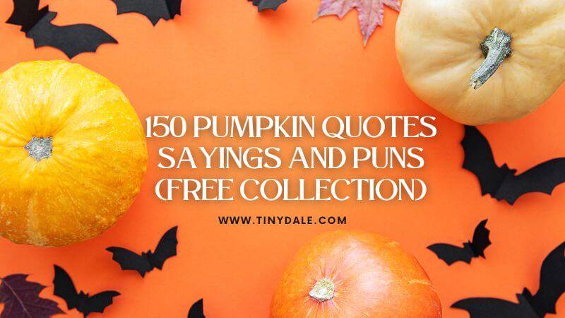 150 Pumpkin Quotes