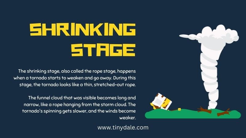 Shrinking stage