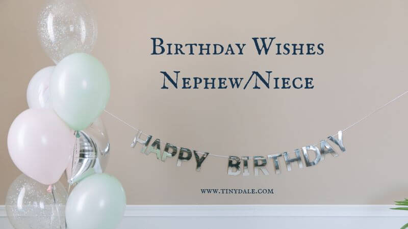 7th Birthday Wishes Nephew