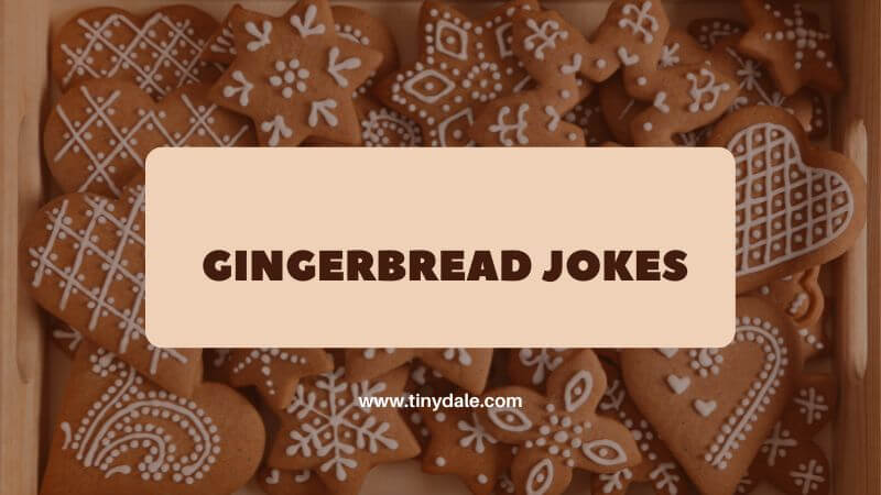 Gingerbread Jokes 