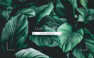 Leaf Quotes