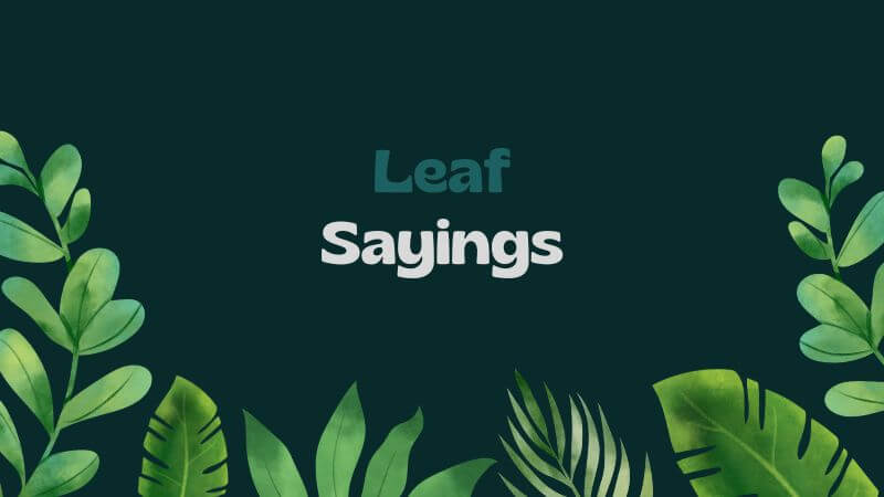 Leaf Sayings