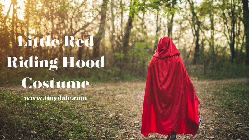 Little Red Riding Hood Costume