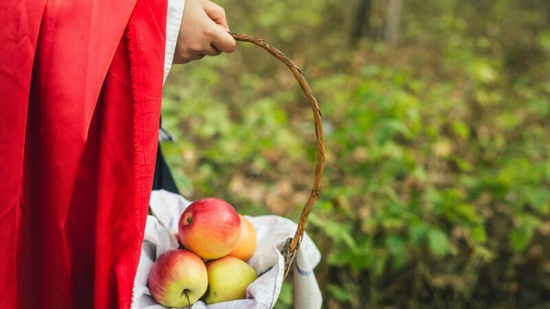 Little Red Riding Hood fruits holding