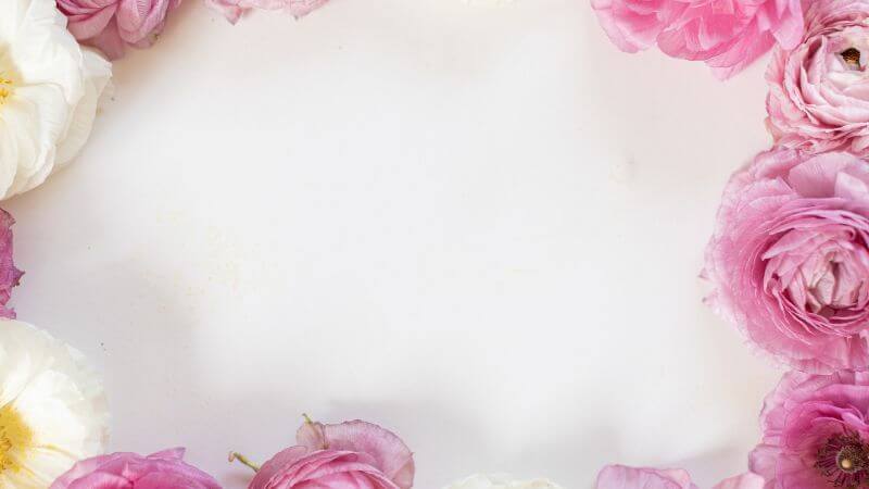 Pink and white background