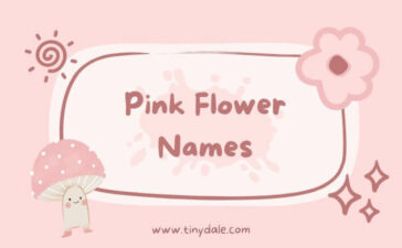 Pink flower names