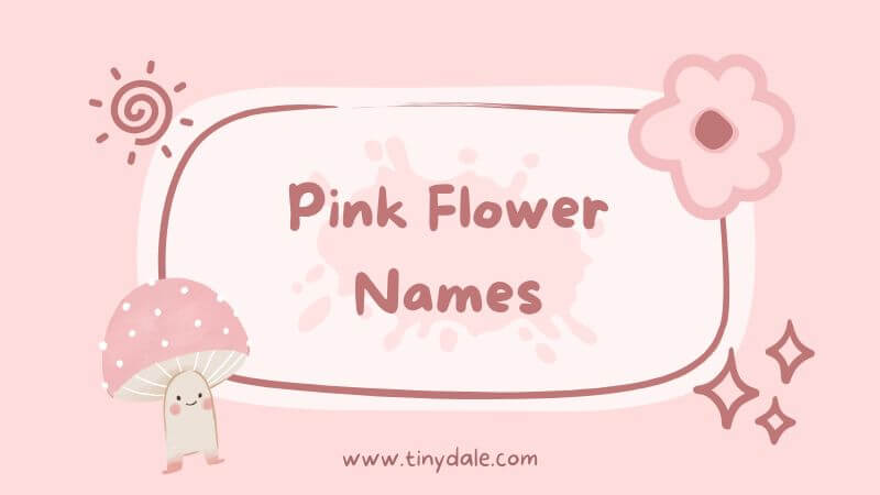 Pink flower names