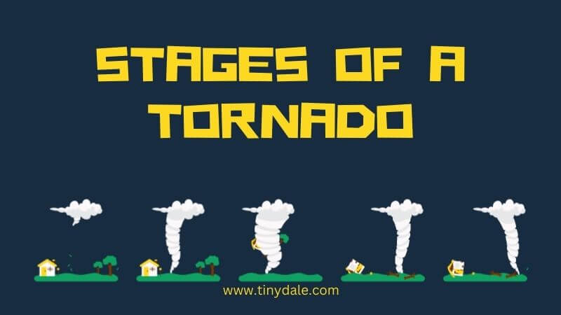 Stages of Tornadoes