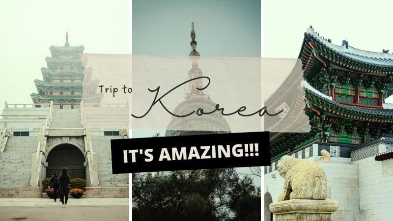 Trip to korea