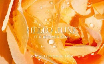 hello june quotes