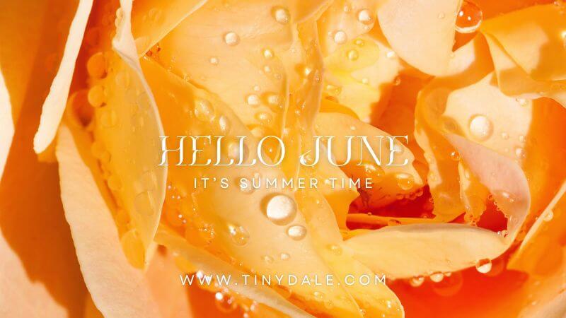 hello june quotes