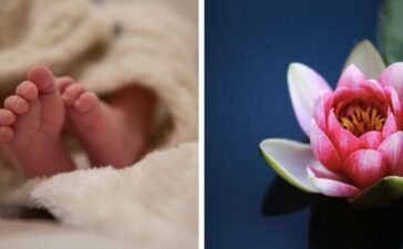 lotus birth