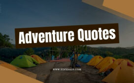 Adventure quotes