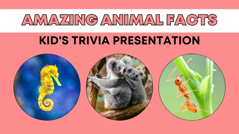 Amazing Animal fact