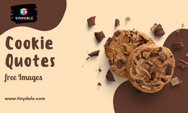Cookie quotes