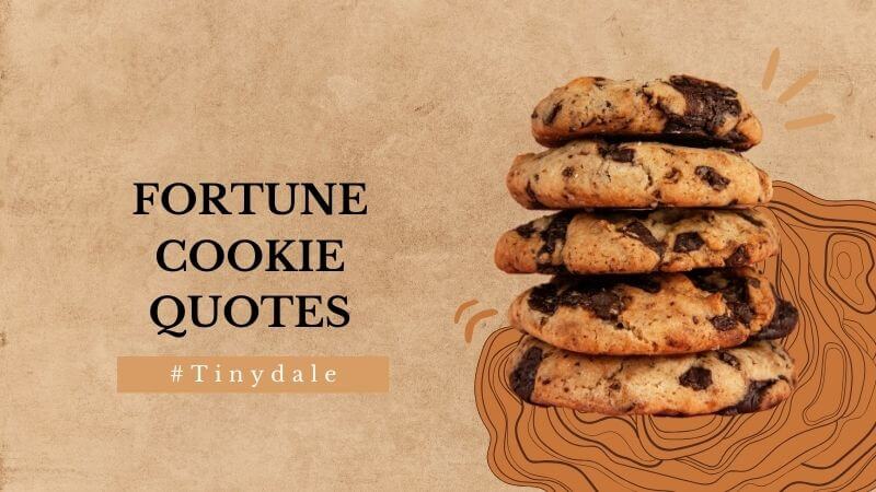 Fortune cookie quotes