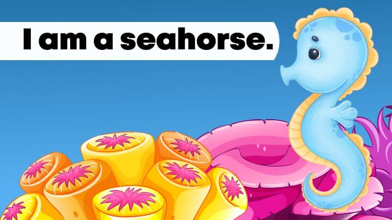 I am a seahorse
