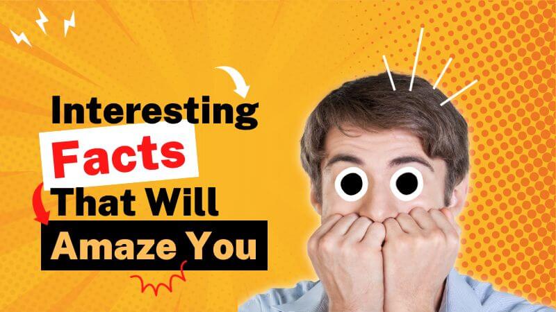 Interesting facts that will amaze you