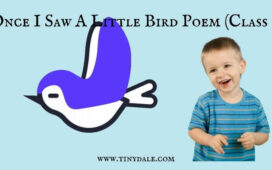 Once I Saw A Little Bird Poem (Class 1)