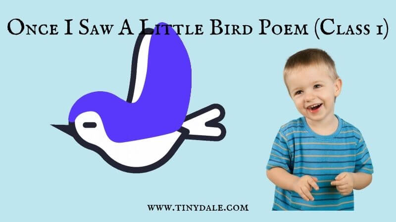 Once I Saw A Little Bird Poem (Class 1)