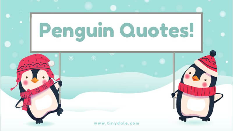 Penguin quotes and sayings