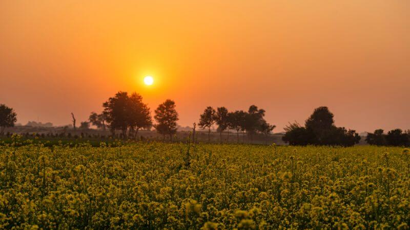 Punjab sunny weather