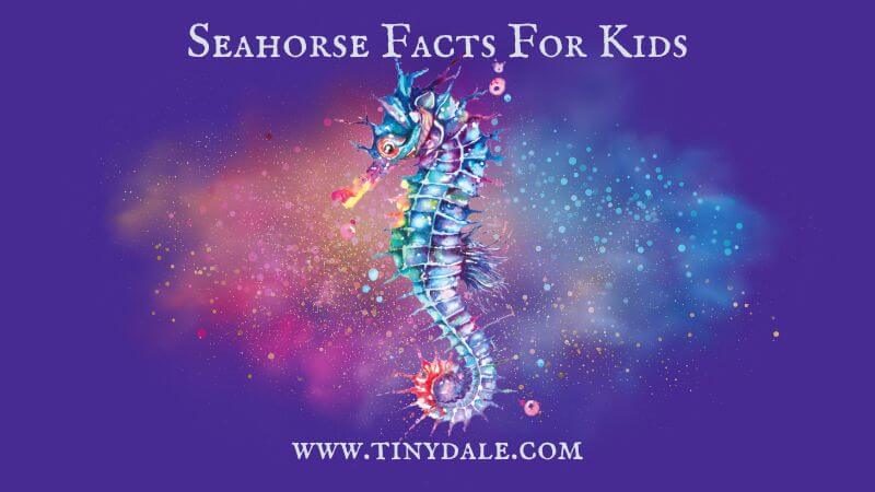 Seahorse Facts For Kids